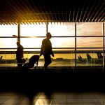 airport, terminal, man, travel, travelers, passengers, silhouettes, backlighting, people, flight, transport, businessmen, walking, sunlight, transportation, trip, journey, planes, airport, airport, airport, airport, airport