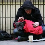 dog on top of person's lap while sitting on ground at daytime