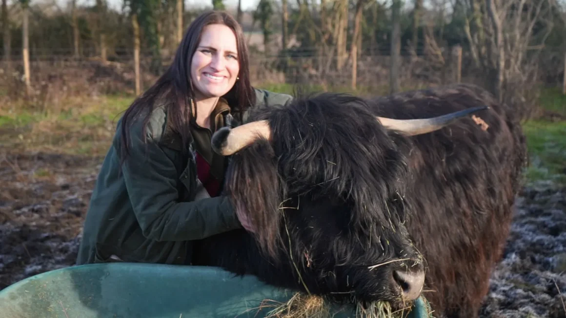 Highland cows saved me after breakdown, says nurse