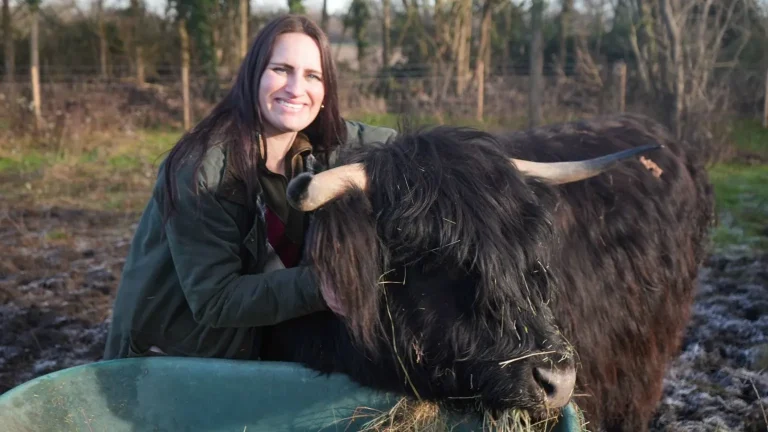 Highland cows saved me after breakdown, says nurse