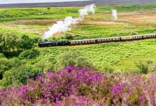 Historic North Yorkshire Moors Railway Celebrates 200 Years of British Rail Heritage