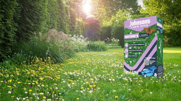 New Lawn Seed Blend Offers Easy Way to Create Garden Wildflower Habitats