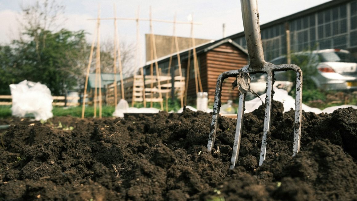 The Evolution of the British Allotment: How Necessity Transformed into a Luxurious Retreat